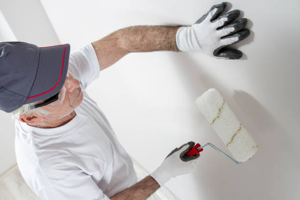 Best Wallpaper Removal and Painting  in Beavercreek, OH